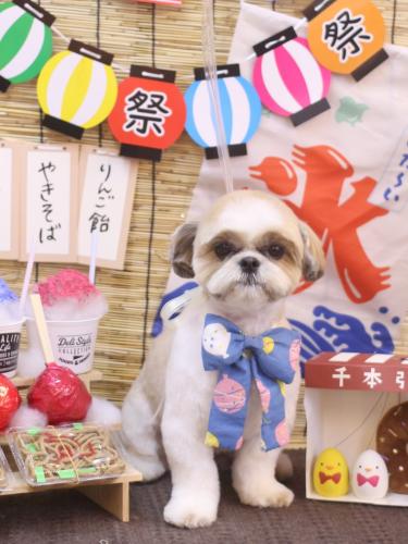 20240703あずきちゃん